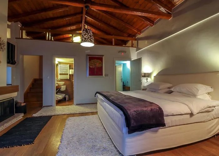 בית הארחה Enastron 4*